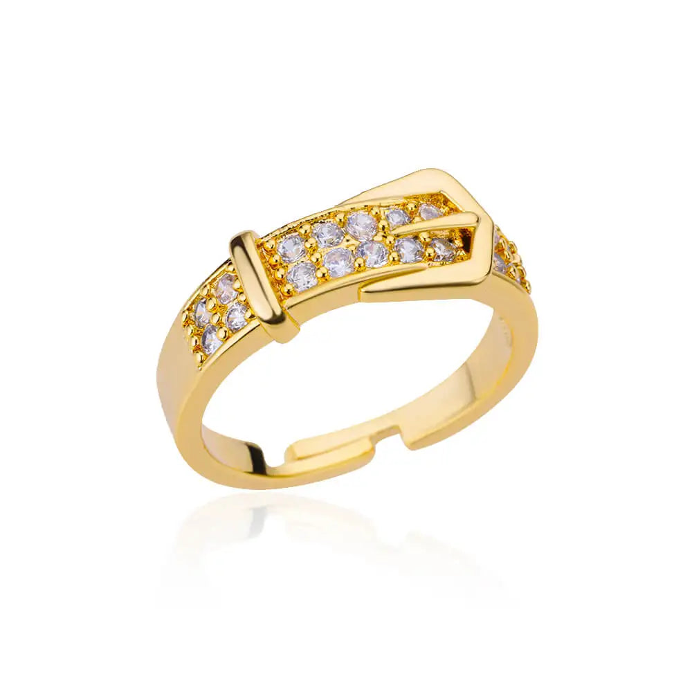 Stainless Steel Belt Rings
