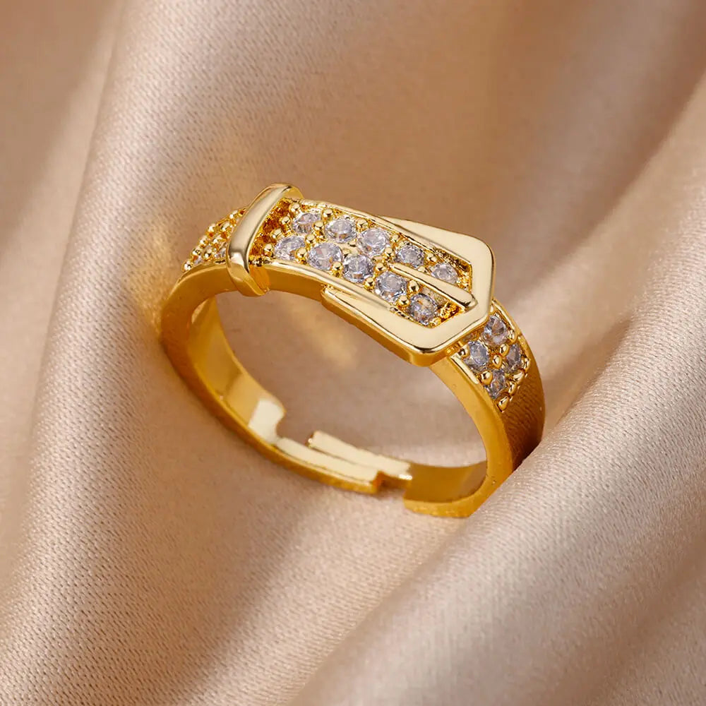 Stainless Steel Belt Rings