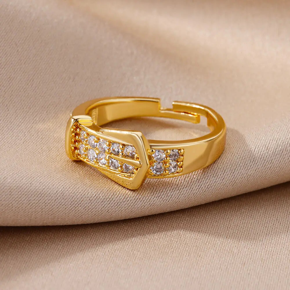 Stainless Steel Belt Rings