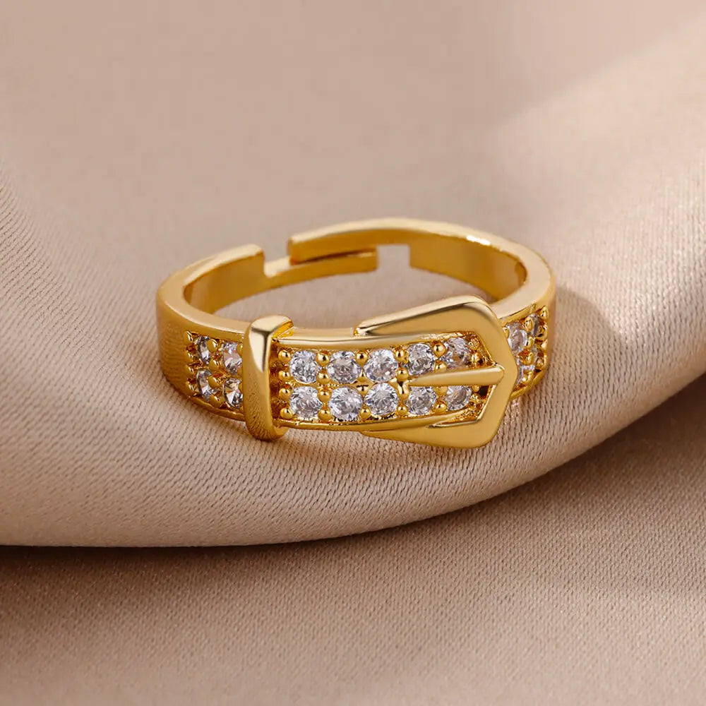 Stainless Steel Belt Rings